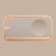 Bose SoundLink Home Lautsprecher - Helles Silber
