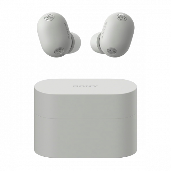 Sony WF-1000XM6 kabellose Noise Cancelling-Kopfhörer - Silber