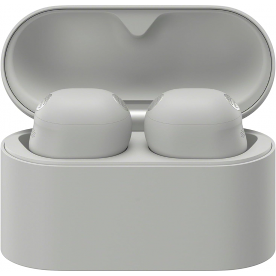 Sony WF-1000XM6 kabellose Noise Cancelling-Kopfhörer - Silber